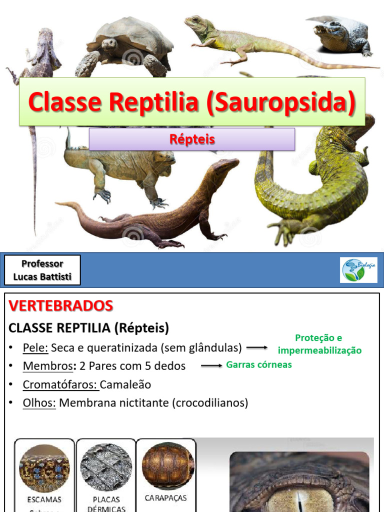 Vertebrados (Répteis) | PDF
