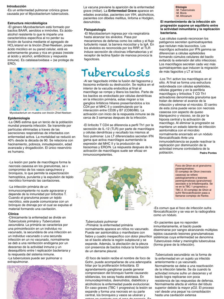 8 - Tuberculosis | PDF | Tuberculosis | T Helper Cell