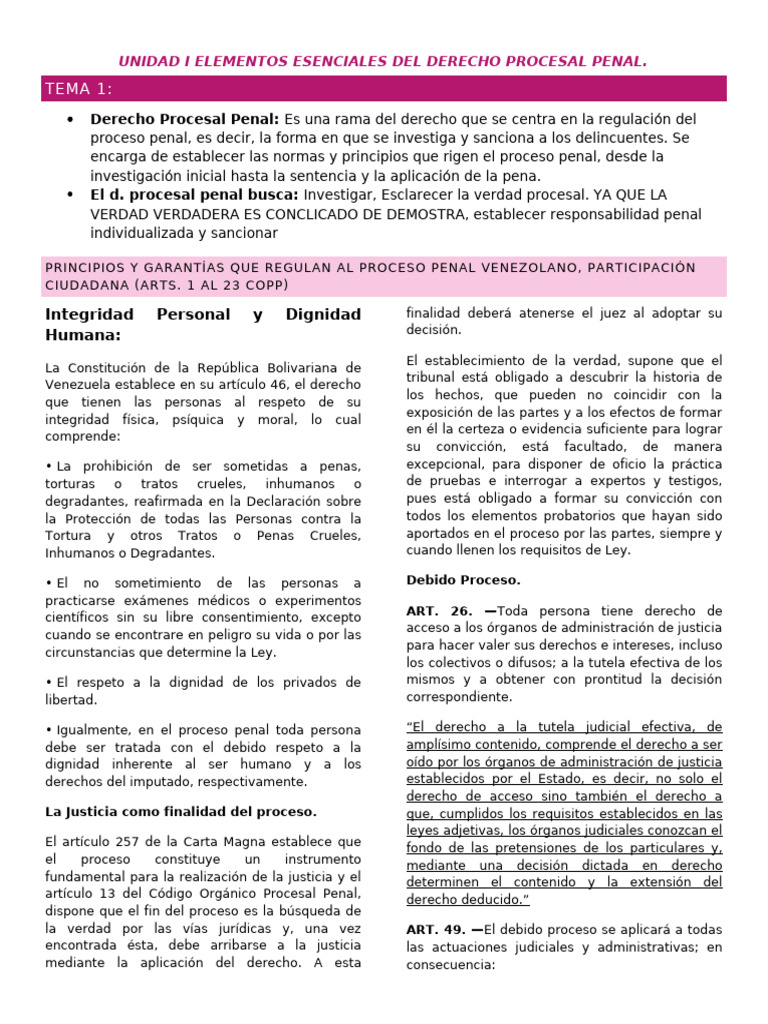 Elementos del Derecho Procesal Penal | PDF | Debido al proceso | Juez