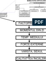 Schema MOB. Articular A