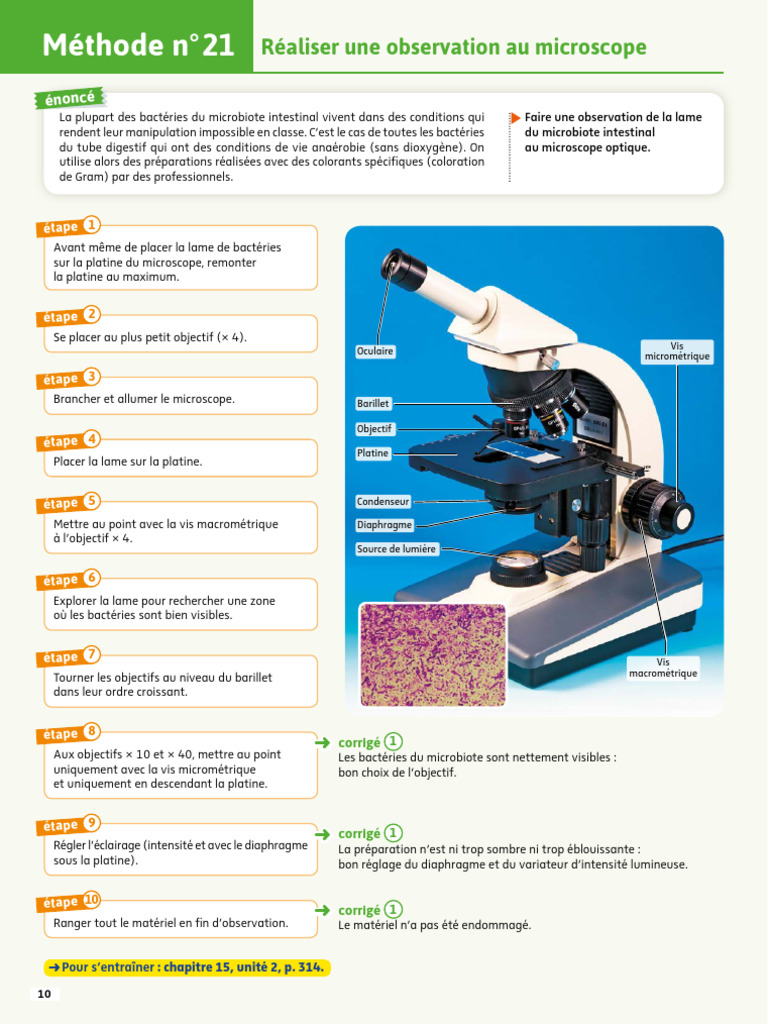 Observation du microbiote au microscope | PDF | Microscopie | Lumière
