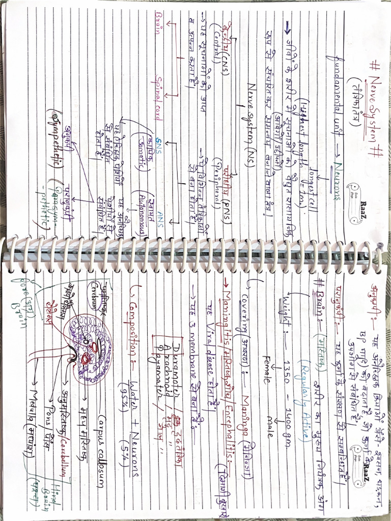 SSC CGL Bio Handwriting Notes 4 | PDF