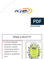 36842529-ngo-s-ppt