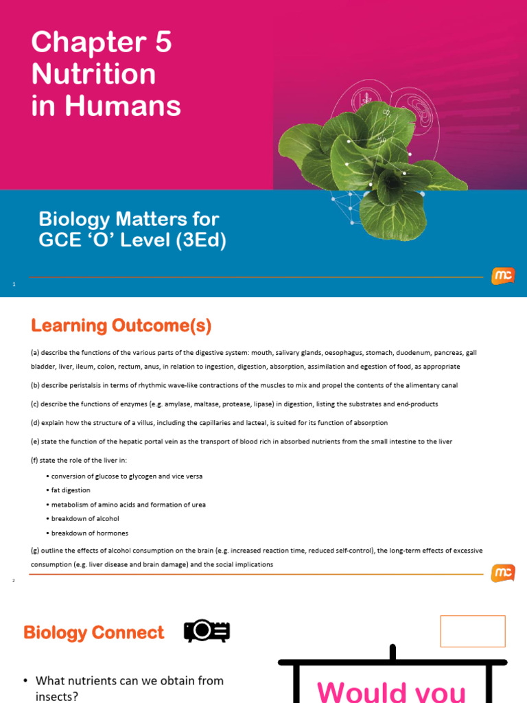 Human Nutrition and Digestion Overview | PDF | Digestion | Small Intestine