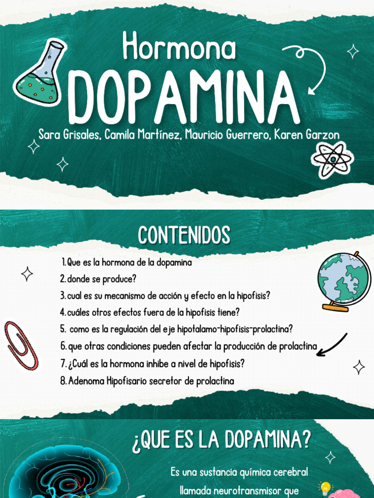 Funciones y Efectos de la Dopamina | PDF | Dopamina | Endocrinología