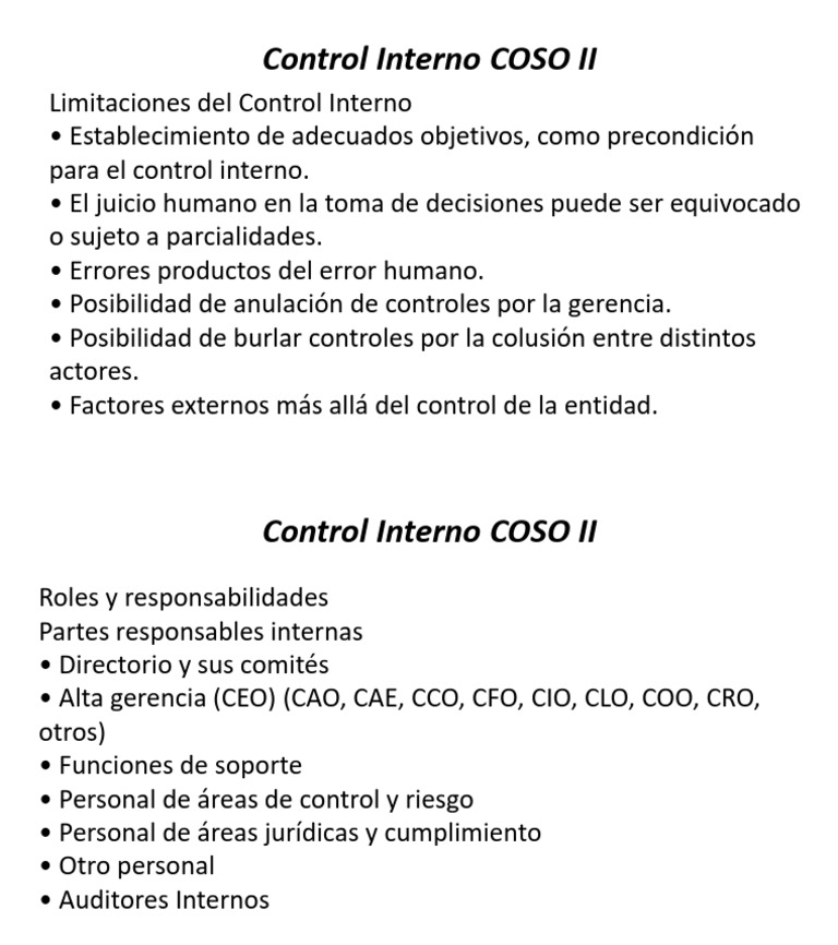 Limitaciones y Roles en Control Interno COSO II | PDF