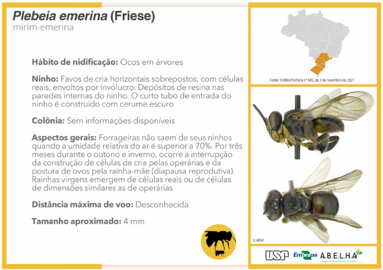 Plebeia Emerina | PDF