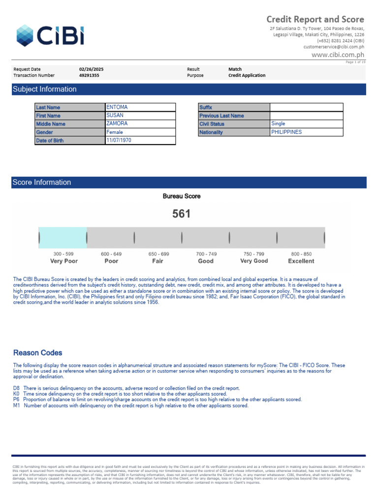 CIBI Credit Report Overview | PDF | Credit History | Payments
