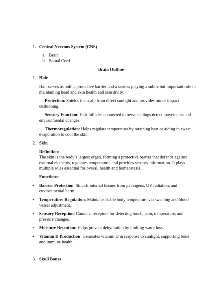 Overview of Central Nervous System Functions | PDF | Brainstem | Brain
