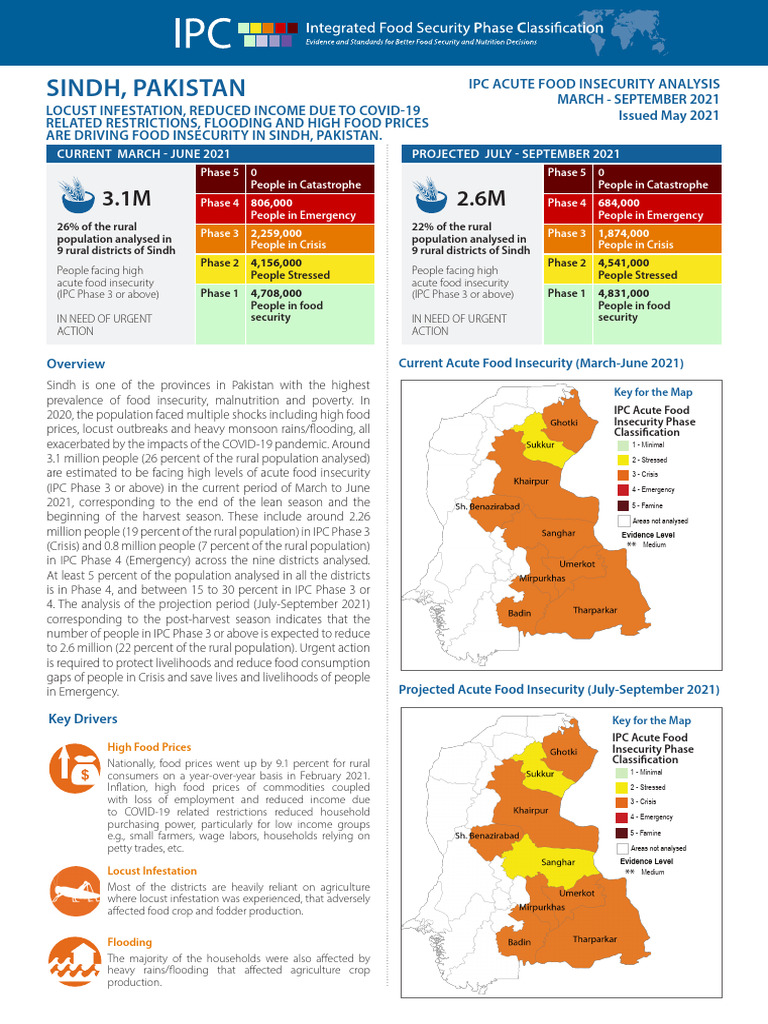 Food Insecurity Crisis in Sindh, Pakistan | PDF | Food Security | Famine