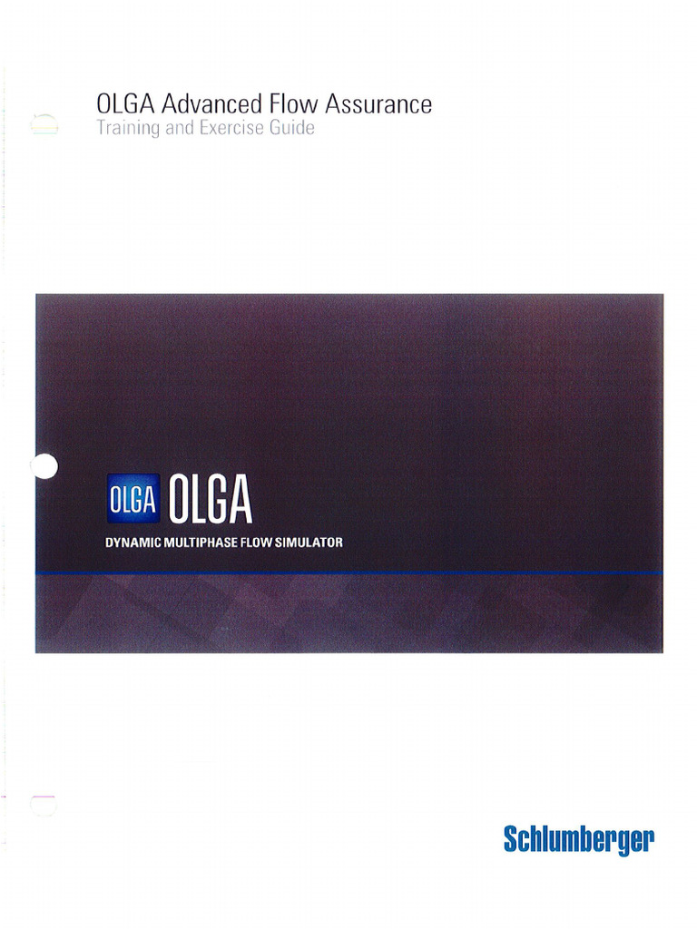 Advanced Flow Assurance Training | PDF