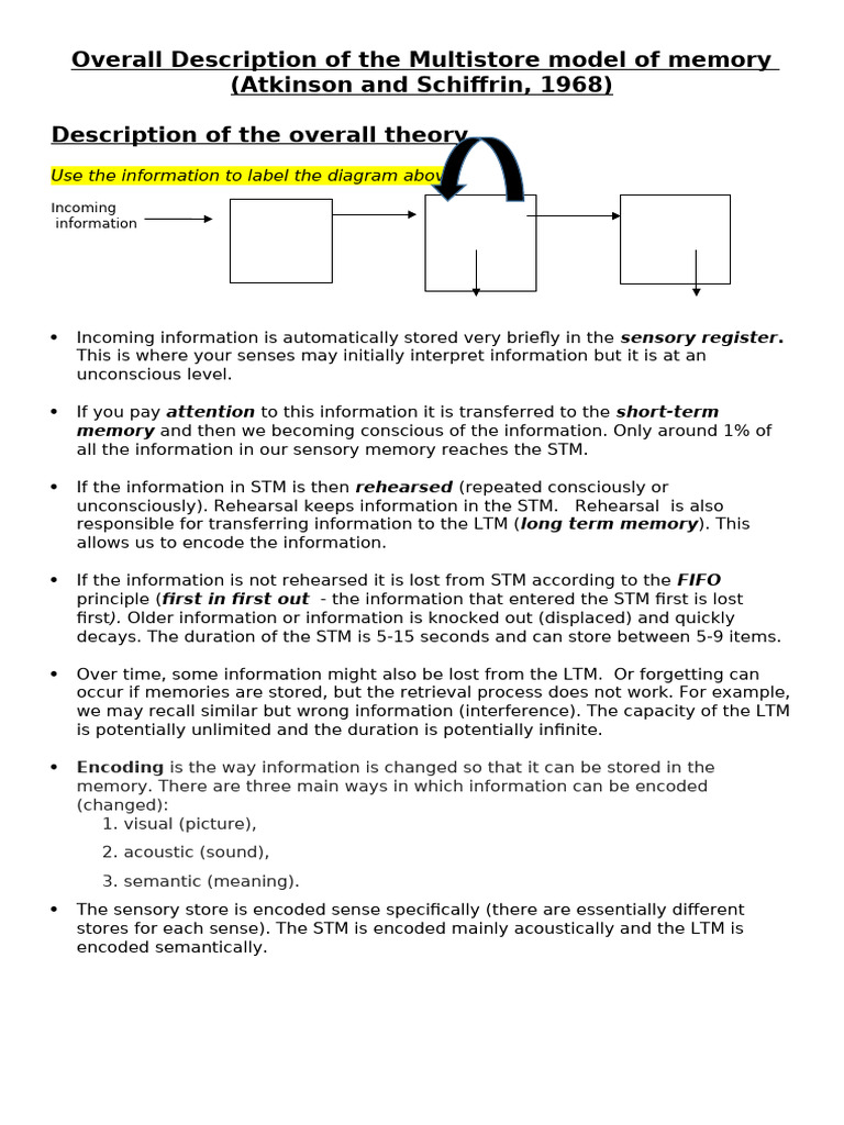2) Overall Description of The Multistore Model of Memory | PDF