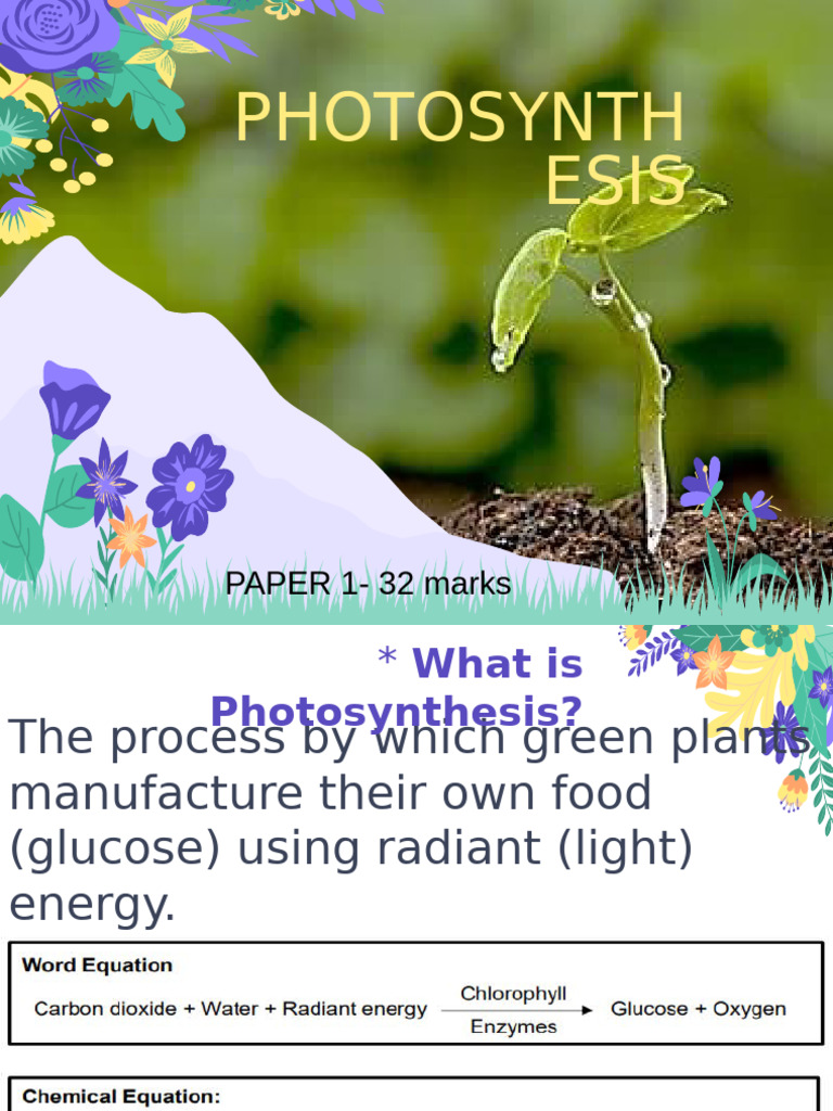 Understanding Photosynthesis Process | PDF | Photosynthesis | Chloroplast