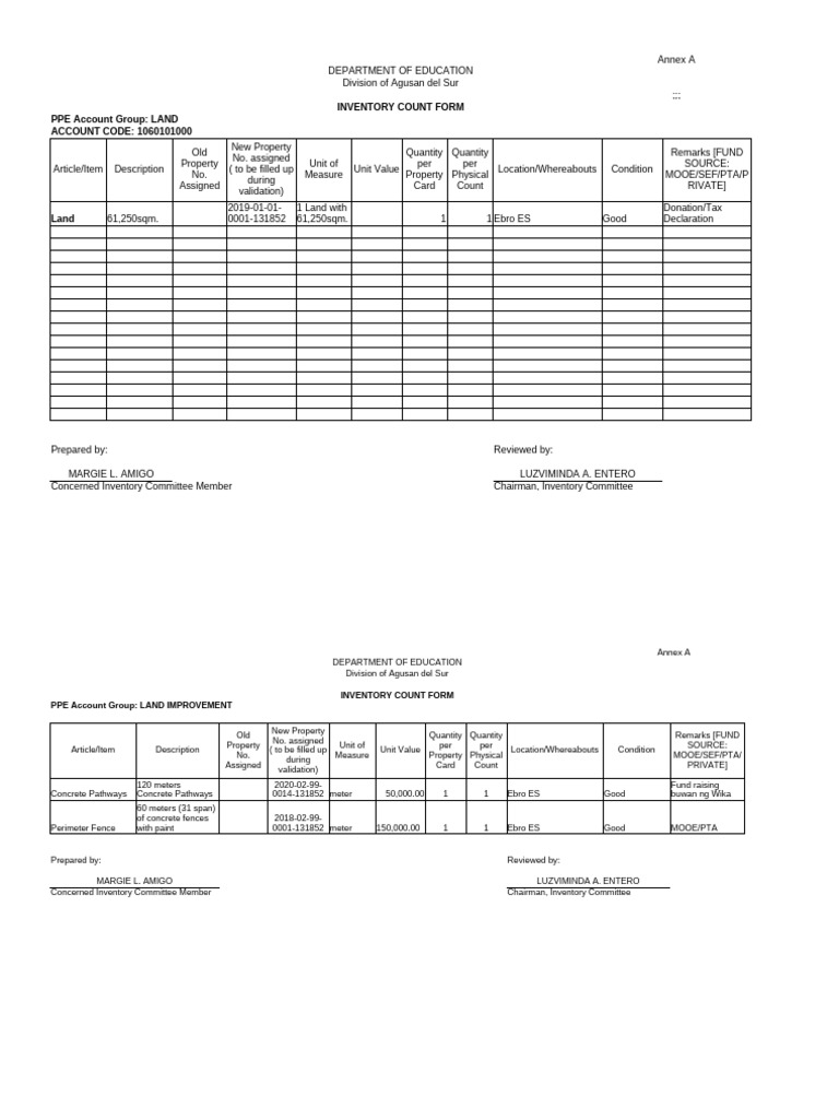 Ebro ES Inventory Count Form | PDF