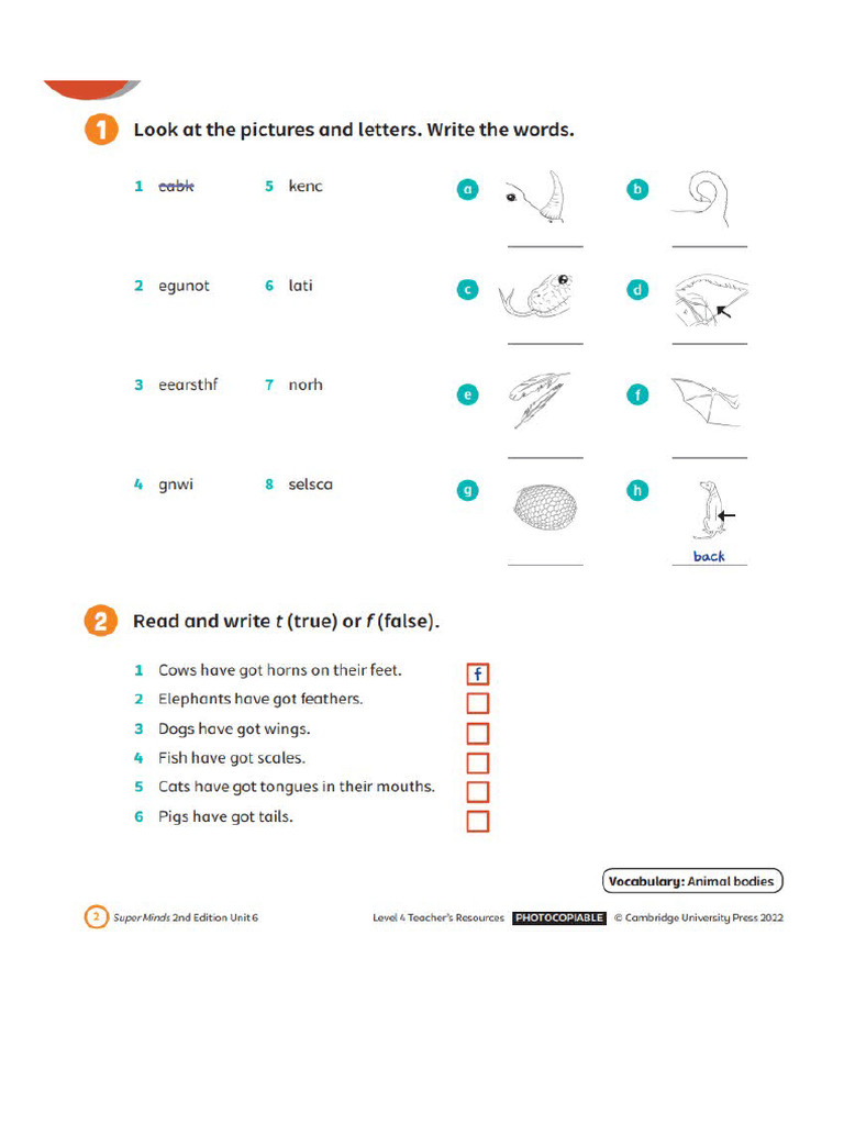 Test 5 - 6 | PDF