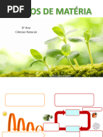 Ciencias - Aula Ciclo Da Materia e o Fluxo de Energia - 4 Ano | PDF ...