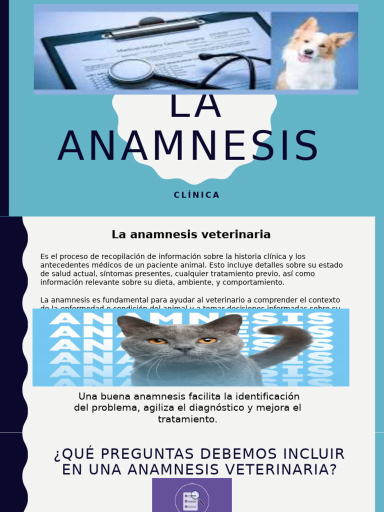 Anamnesis en Medicina Veterinaria | PDF | Diagnostico medico | Dieta