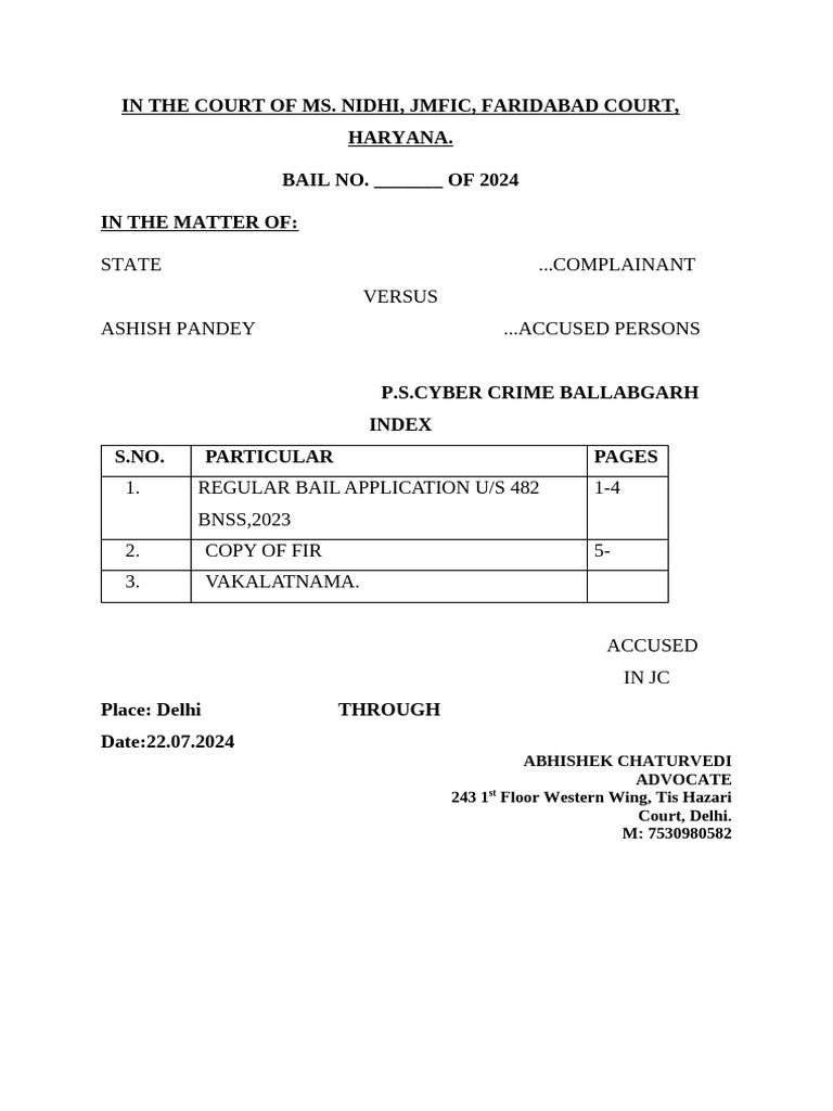 Bail Application for Ashish Pandey | PDF | Bail | Criminal Law