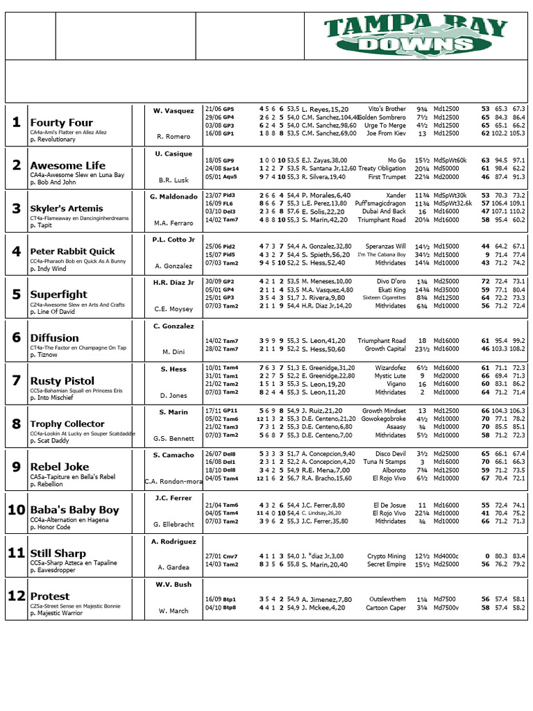Tampa Bay Downs Race Entries March 22 | PDF | Thoroughbred Families ...