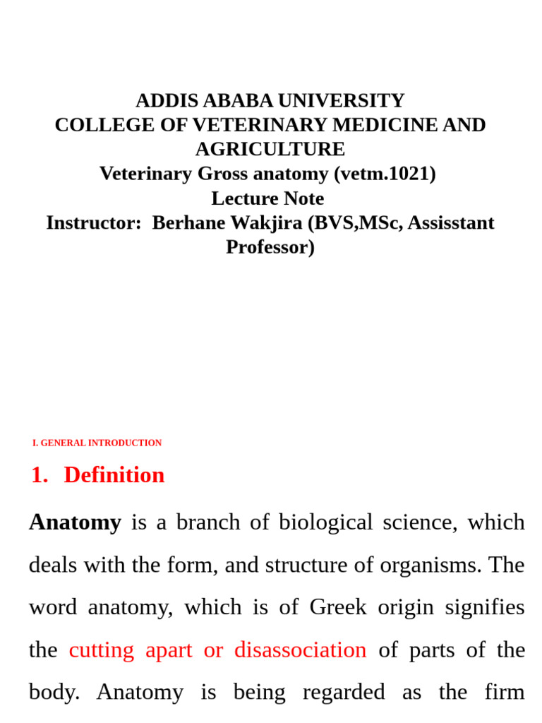Veterinary Gross Anatomy Overview | PDF | Vertebra | Vertebral Column