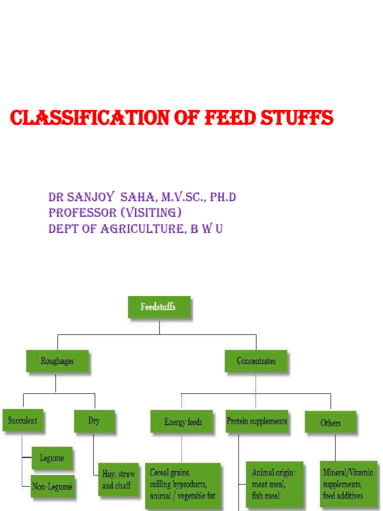 Classification of Feedstuffs Overview | PDF | Cereals | Legume