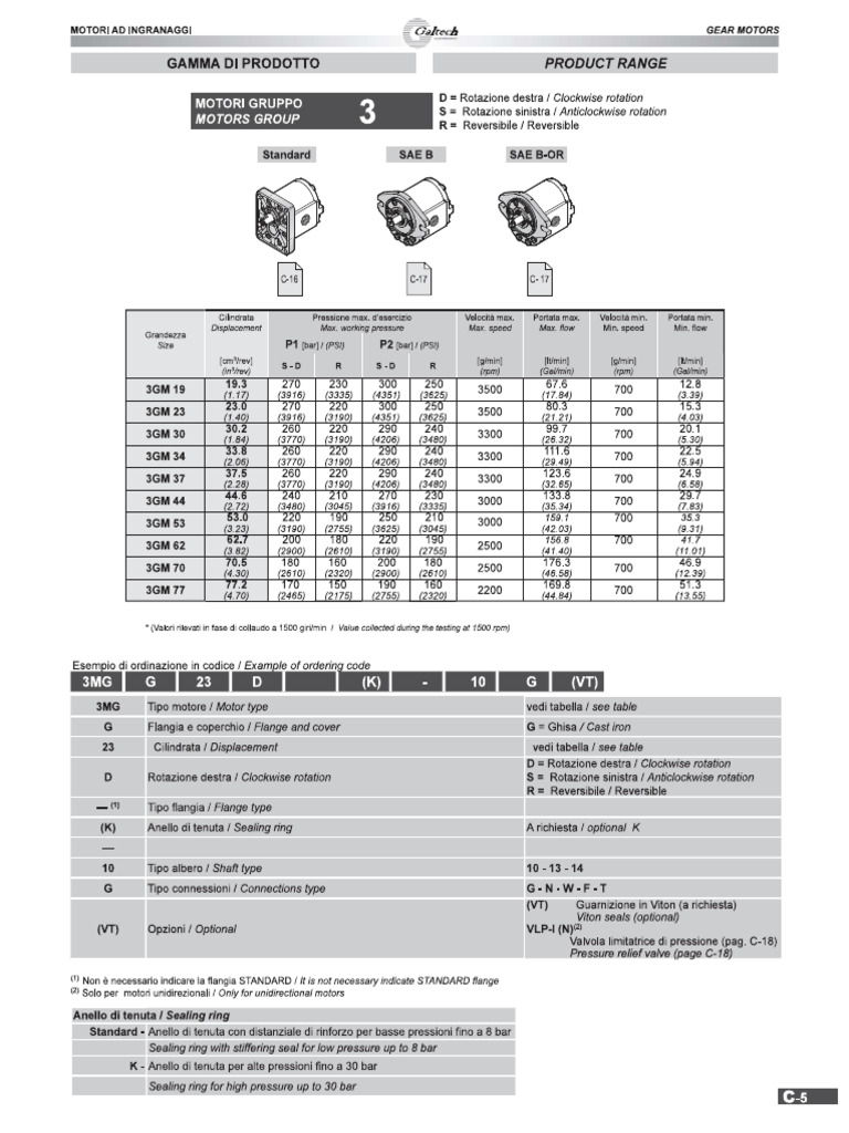 Motor Galtech 3GM G23 | PDF