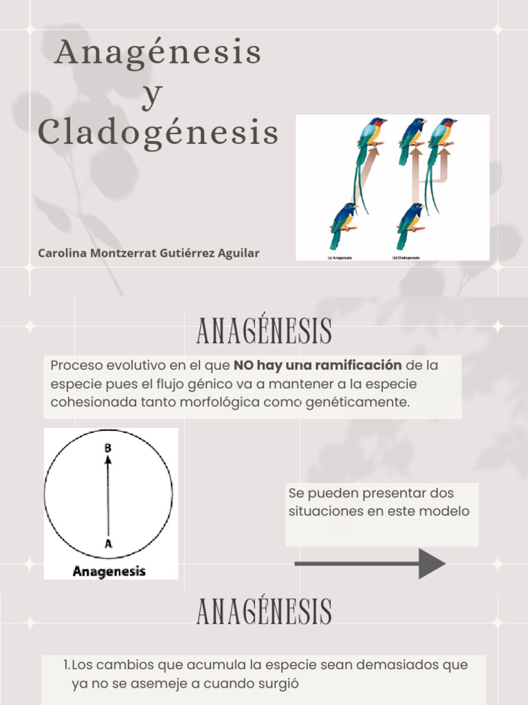 Anagénesis y Cladogénesis en Evolución | PDF