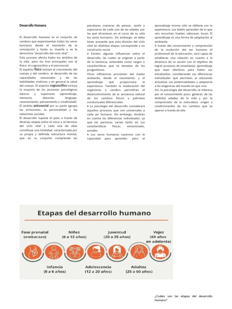 Etapas del Desarrollo Humano | PDF | Desarrollo cognitivo | Adultos