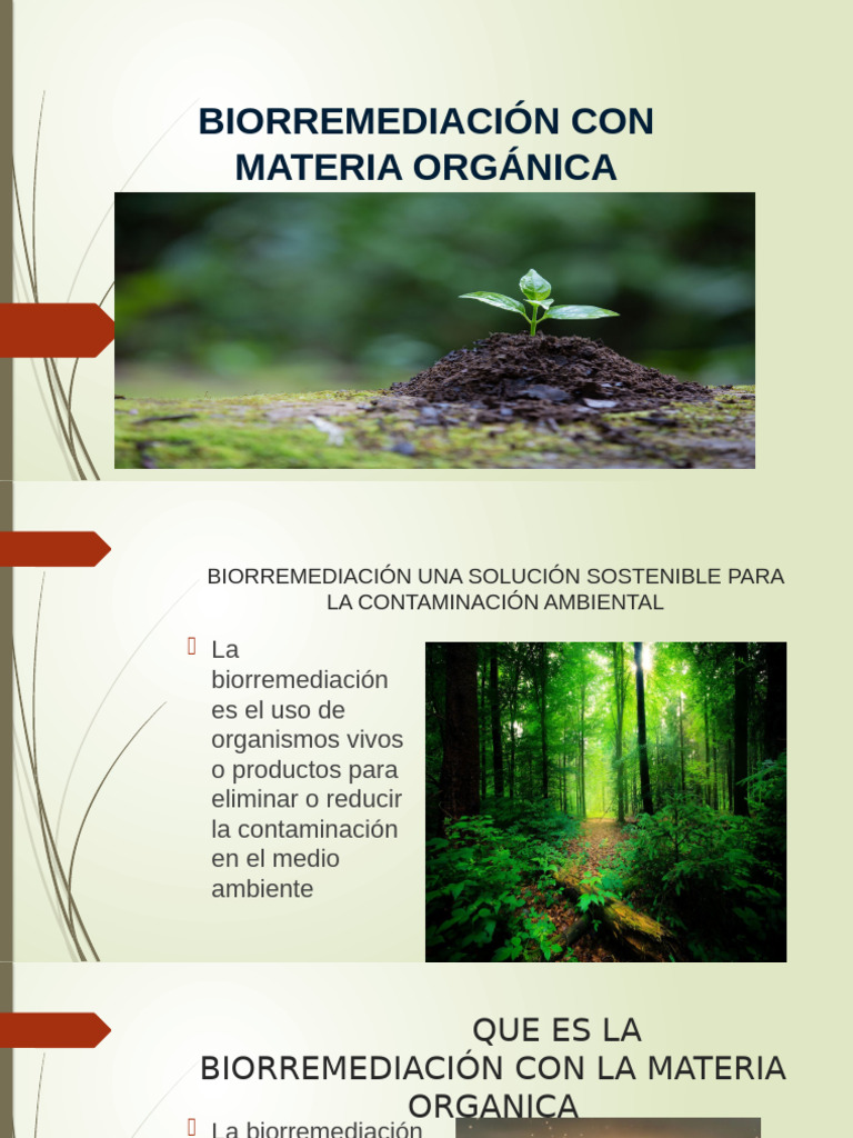 BIORREMEDIACIÓN | PDF