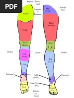 Nerve Conduction in First Dorsal Web Space | PDF | Ankle | Foot