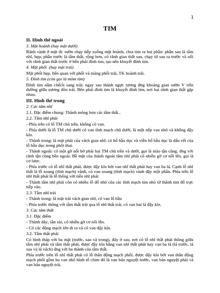 13 Tim | PDF