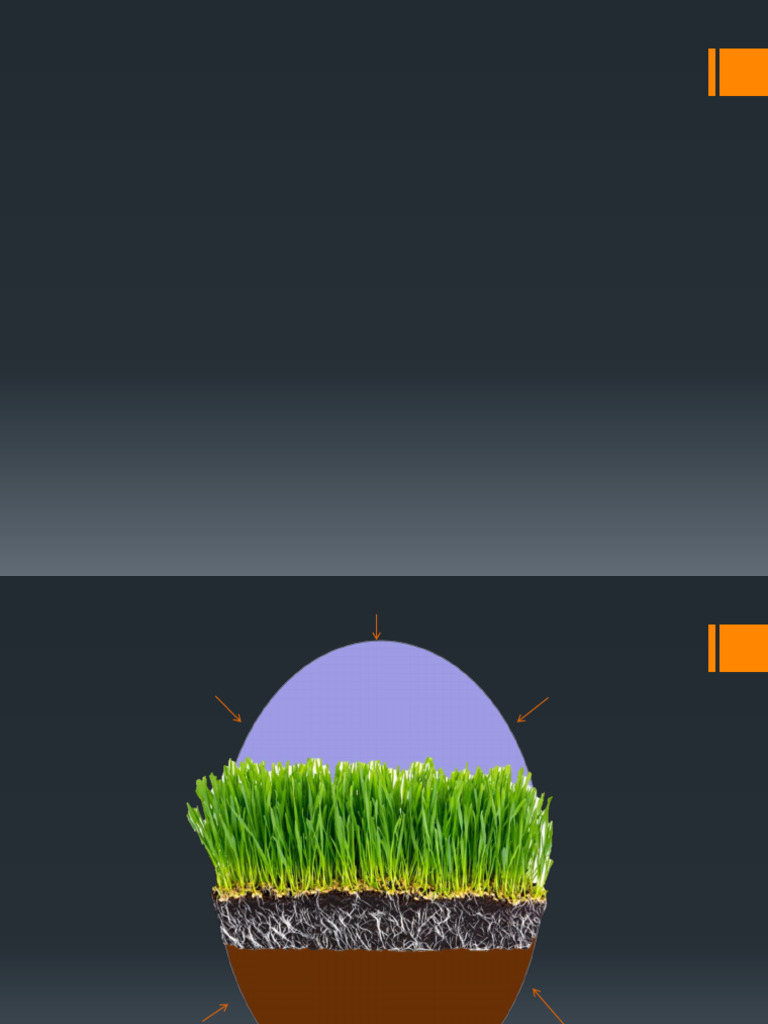 Propiedades y Estructura del Suelo | PDF | Suelo | Ph