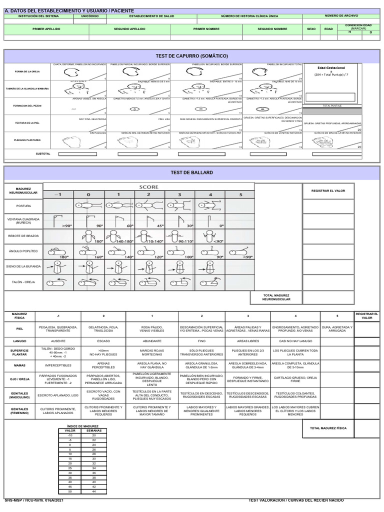 capurro | PDF