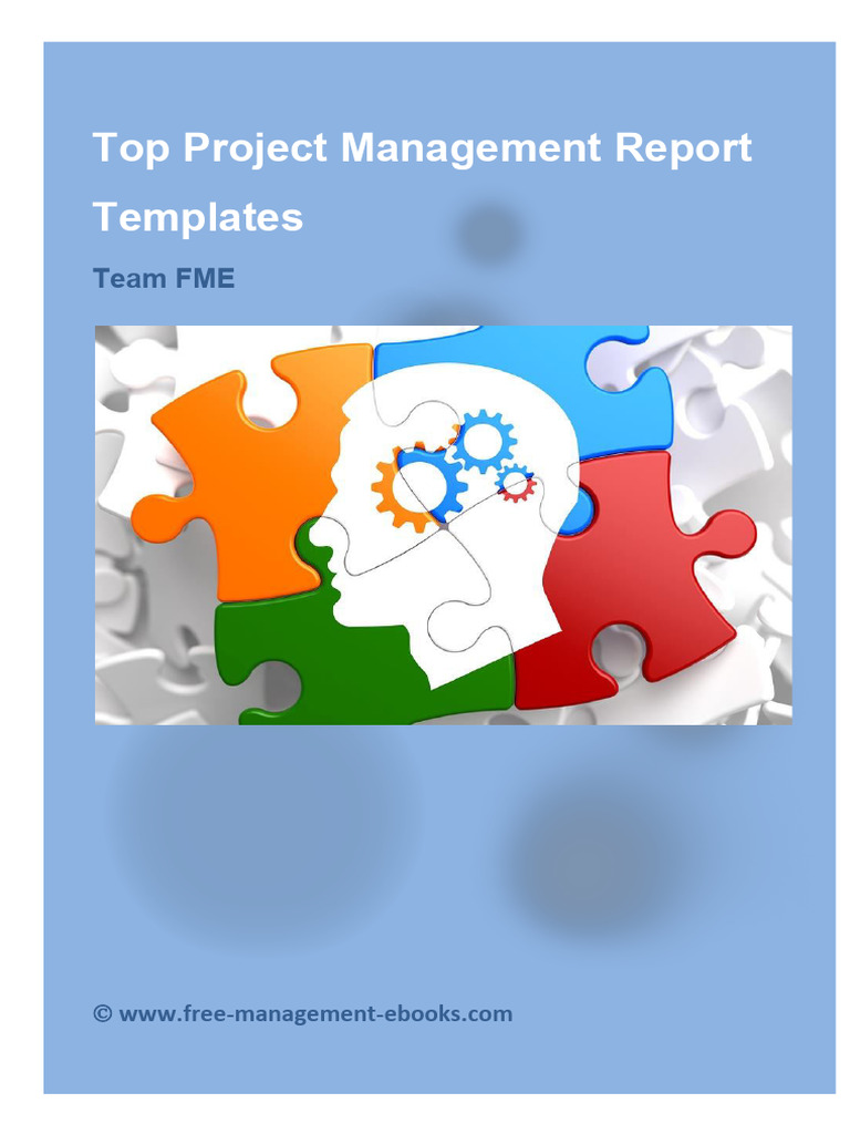 Project Management Report Templates | PDF | Project Management | Copyright