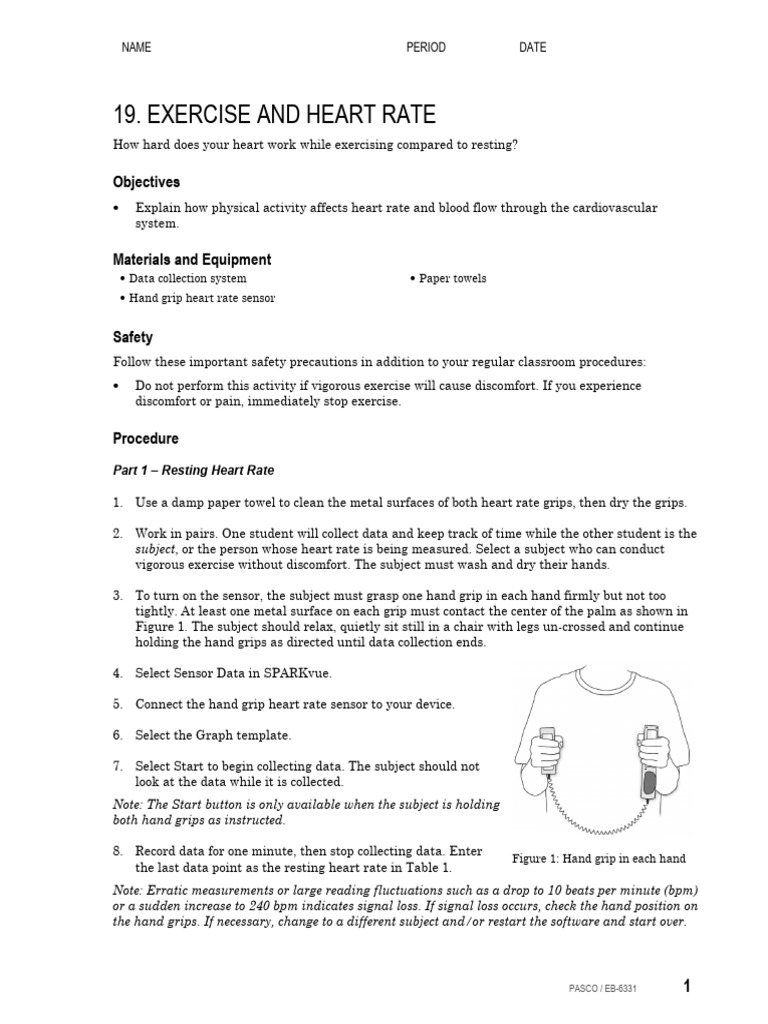 EB19 Exercise and Heart Rate S | PDF | Heart Rate | Heart