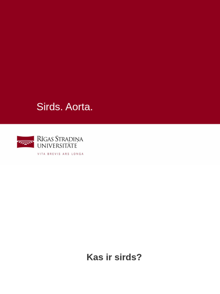 Sirds Aorta | PDF