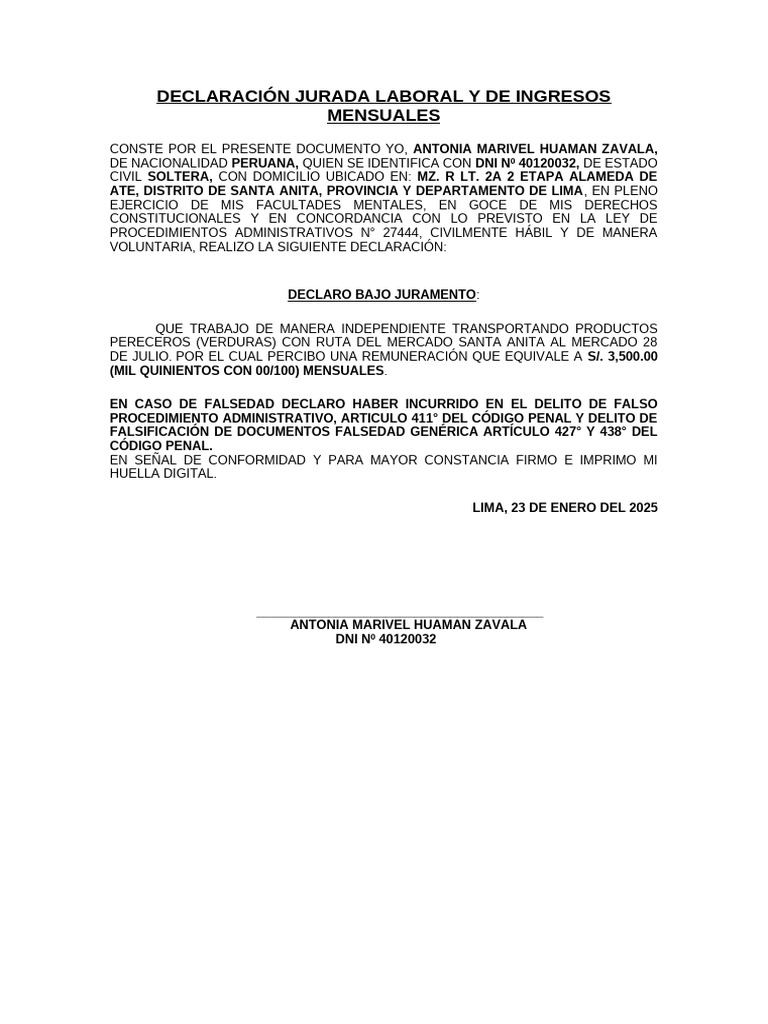 Declaración Jurada de Ingresos Mensuales | PDF | Justicia | Crimen y ...