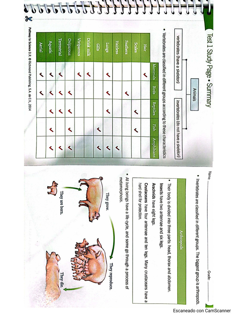 Final Science 2 | PDF