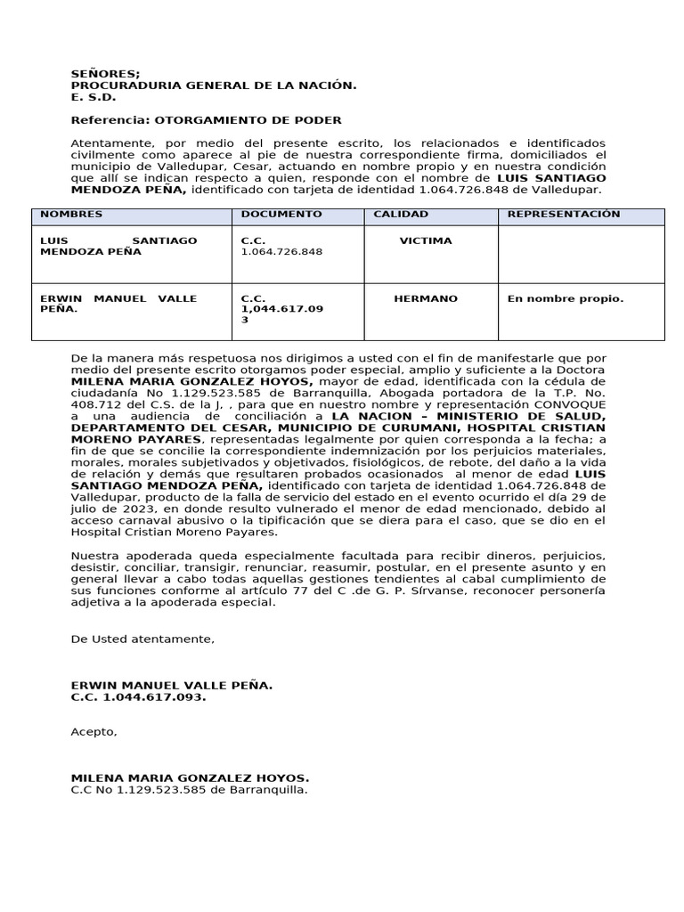 PODERES CASO LUIS SANTIAGO(ERWIN) | PDF