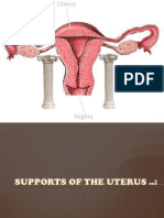Supports of The Uterus