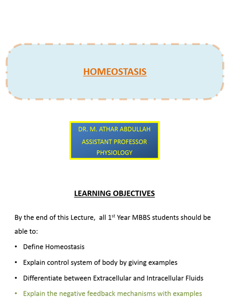 Understanding Homeostasis in Physiology | PDF | Homeostasis | Human Body