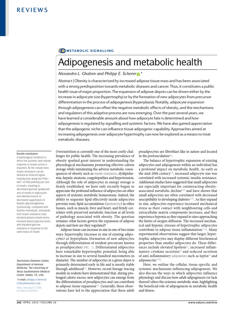 Nature 0193921 | PDF | Adipocyte | Adipose Tissue