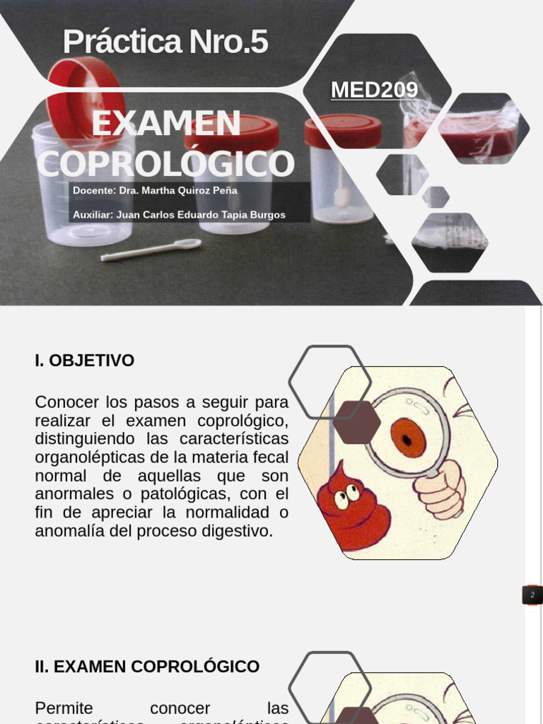 Examen Coprologico | PDF | Heces | Diarrea