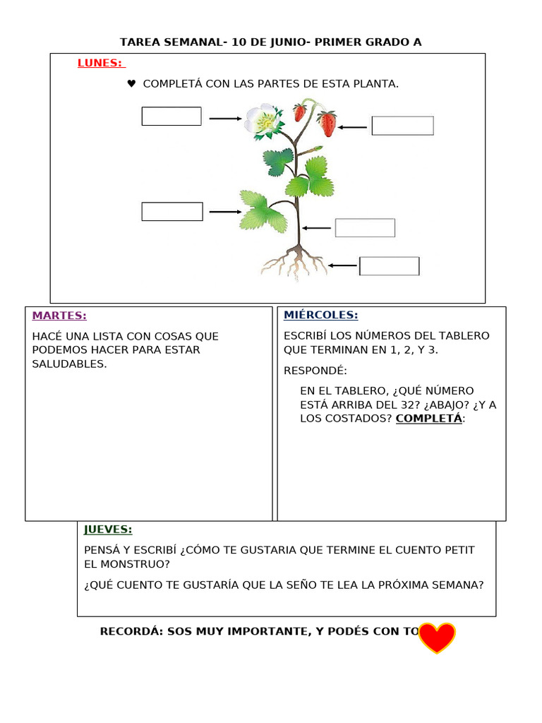 Tarea Semanal Primer Grado A - 10 Junio | PDF