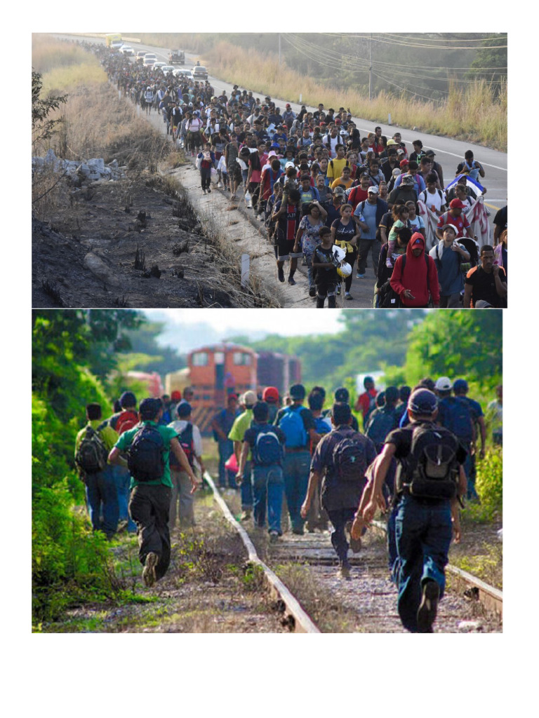 Derechos de las Personas Migrantes en México | PDF