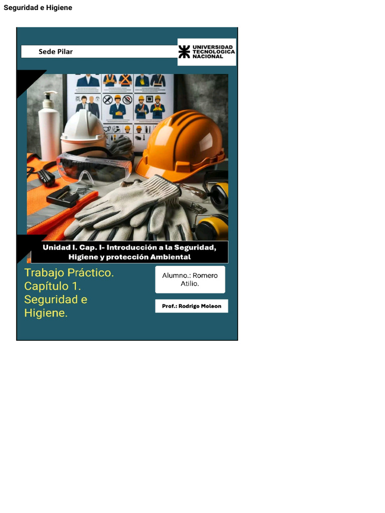 Acta de Seguridad e Higiene Laboral | PDF | Higiene | Valores