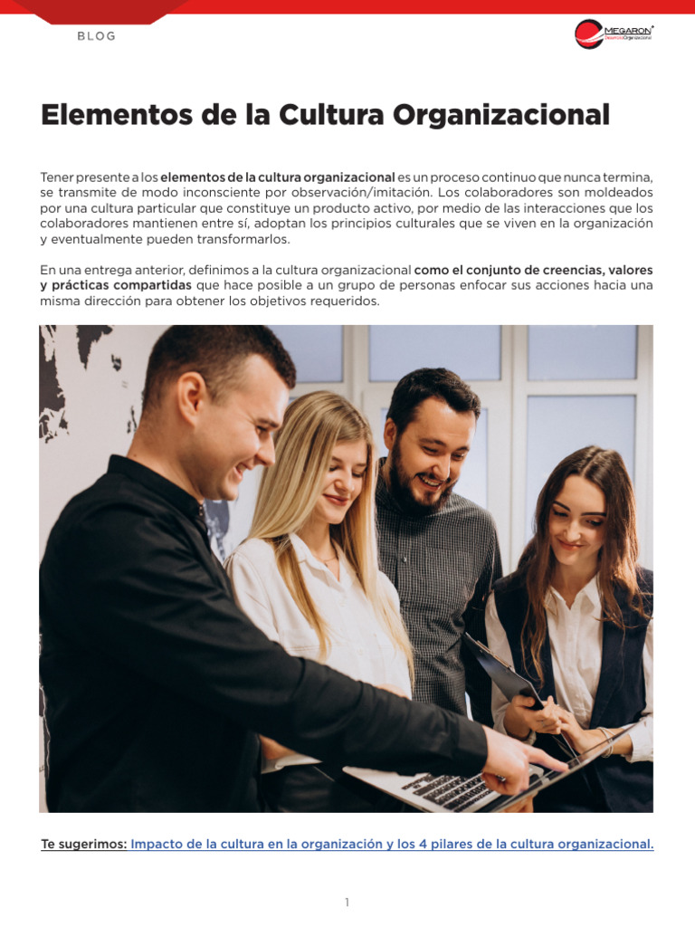 Elementos Clave de la Cultura Organizacional | PDF | Comportamiento ...