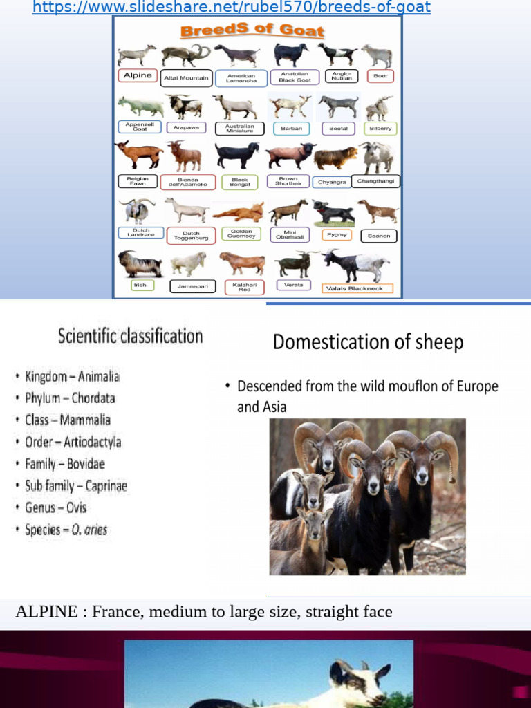 5 Goat Breeding BIS | PDF