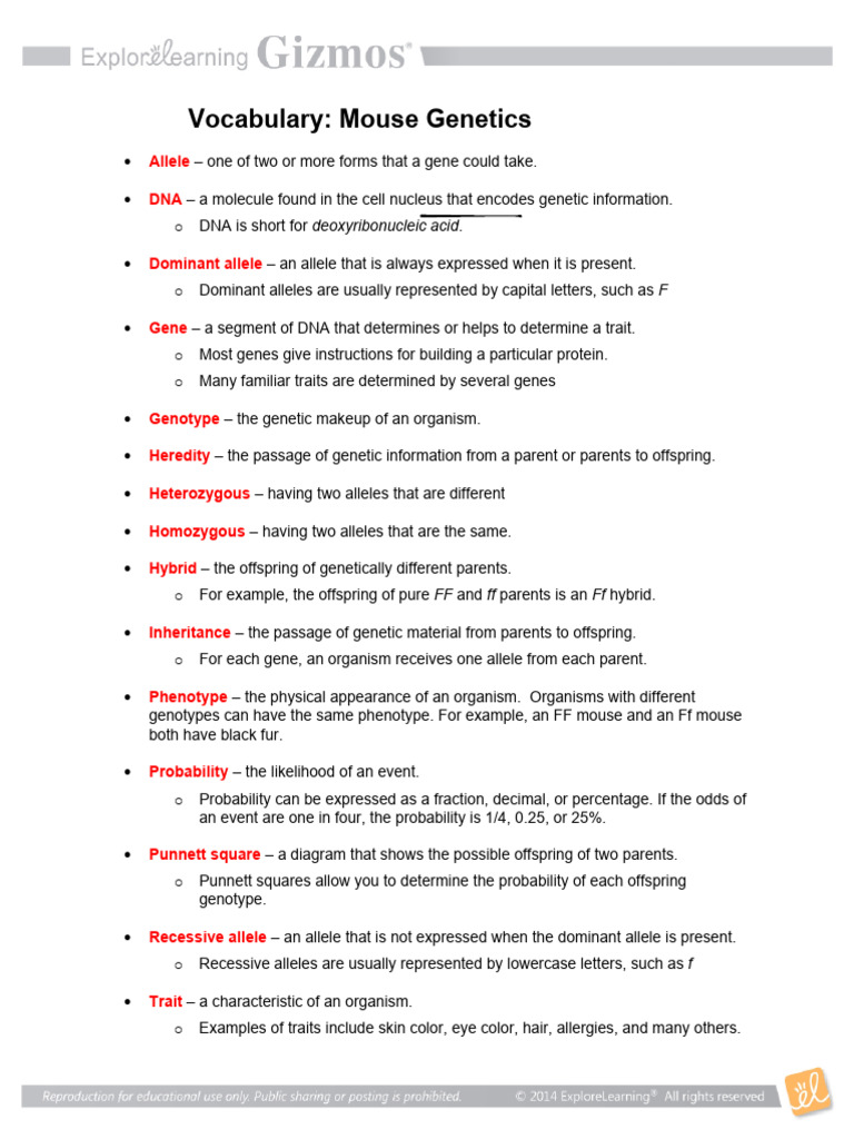 Understanding Mouse Genetics and Traits | PDF | Allele | Dominance ...