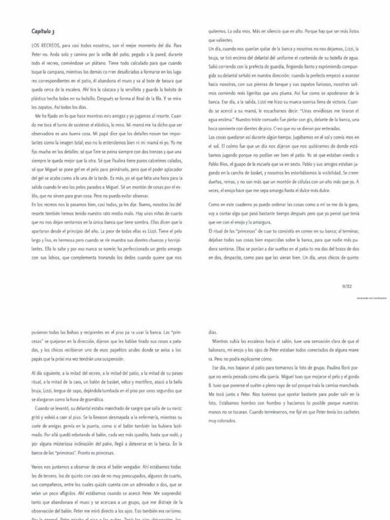 Capitulo 3 | PDF